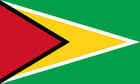 Flag Of Guyana